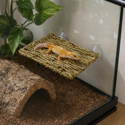 Reptile Hammock with 2 Suction Cups, Handwoven Natural Grass Terrarium Wall Platform, 7.9 x 6.3 in Elevated Resting and Climbing Perch for Leopard Geckos, Anoles and Small Reptiles