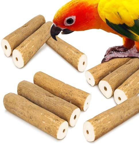 CoCoo Bark Sola Sticks with Skin for Parrots, Cockatiel Chew Forage Toy, Round Wood Foot Exercisers for Budgie, Conures, Beak, and Nails Groomer, Keeps Small Birds Calm, and Physically Fit, 10 Pcs