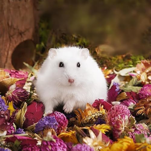Amonk Natural Flower Bedding for Hamsters, Floral Habitat, 200g/7.05oz