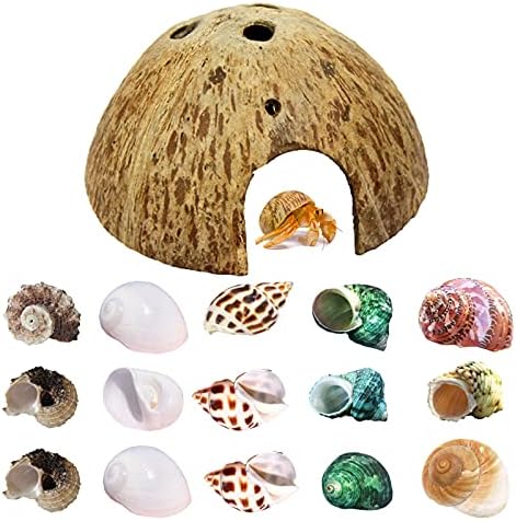 SINKOO 16PCS Hermit Crab Shells (7 Types) Growth, Hermit Crab Coconut Hut