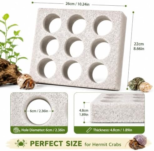 Hermit Crab Climbing Wall, Hermit Crab Tank Accessories with Honeycomb Hideout Shelter, Vertical Climbing Toy Habitat Decor with Multiple Holes for Pet Hermit Crabs