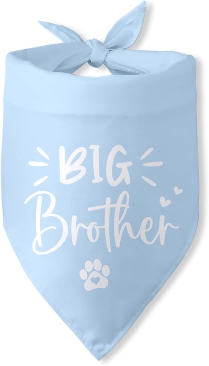 Big Brother Dog Bandana Pregnancy Announcement Gender Reveal Baby Announcement by PwrlveiutforYou