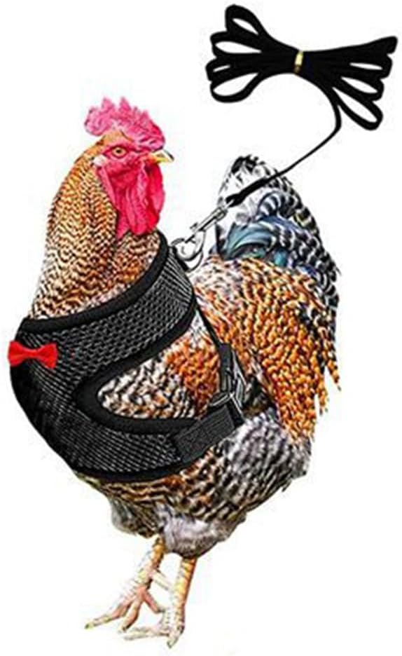 Chicken Leash and Harness Set Adjustment mesh Duck Harness Vest，Blue M