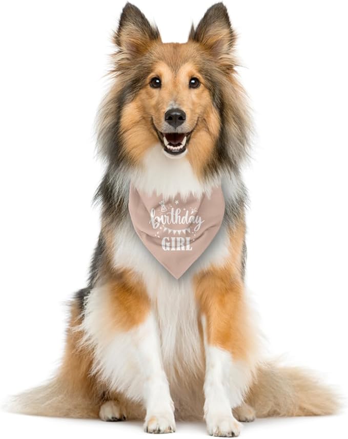 Birthday Girl Dog Bandana - Image 3