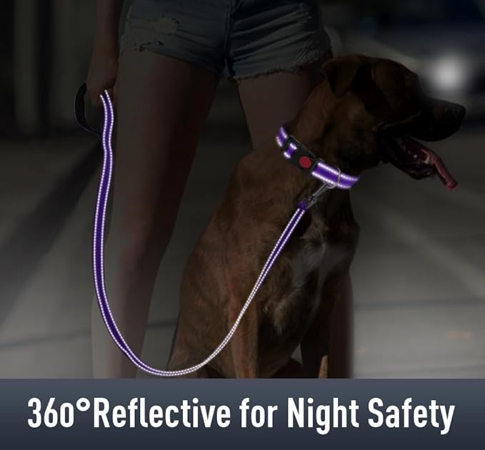 Airtag Dog Collar with AirTag Holder - Image 4