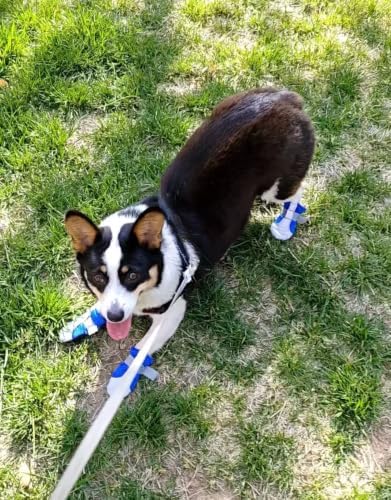 Dog Boots for Small Dogs Soft Reflective and Nonslip Set of 4 (X-Small, Blue)