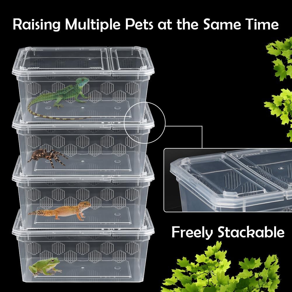 6 Pack Reptile Feeding Box Breeding Box Transparent Hatching Container Plastic Feeding Box for Small Reptiles Amphibians Spiders Scorpions Geckos Tortoises Treefrogs (Small Size)
