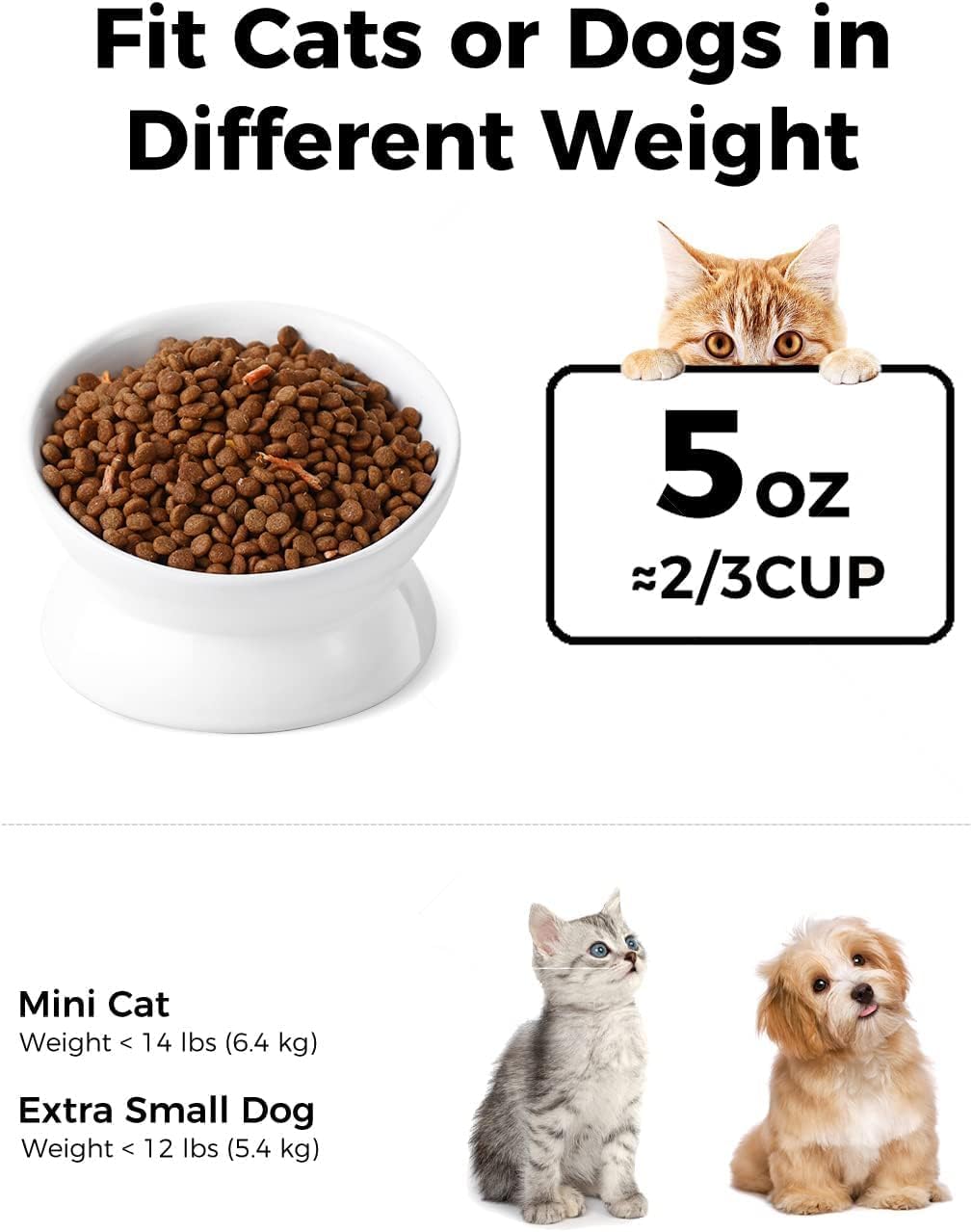LoeJan Elevated Cat Food Bowl, 5 Oz Ceramic Raised and Tilted Water Bowl, Anti Vomiting and Protect Pets' Spines Dishes for Small Dog, Fat Faced Cat, Kitten (White, 2 Pack)