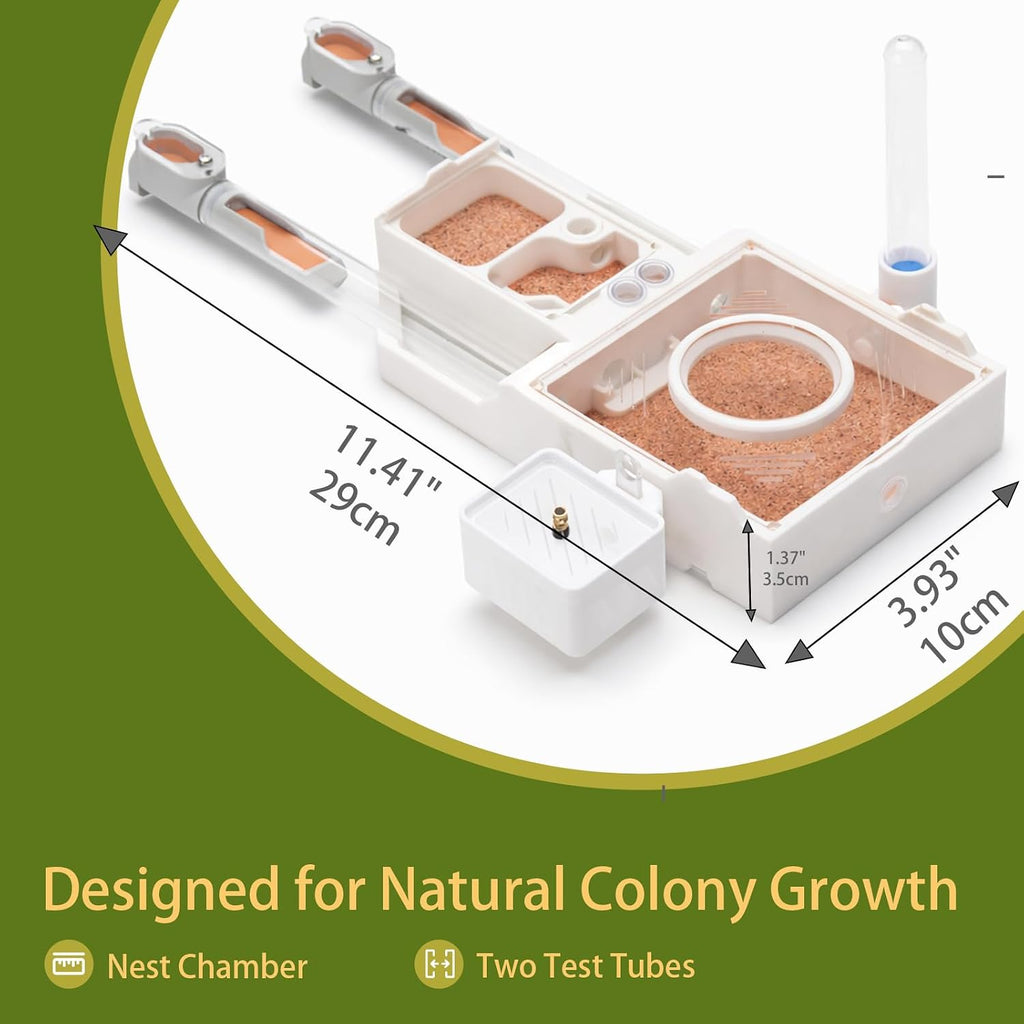 StackCore Stackable Series - White Hybrid (Tube-and-Flat Ant Nest) with Starter Tool Kit