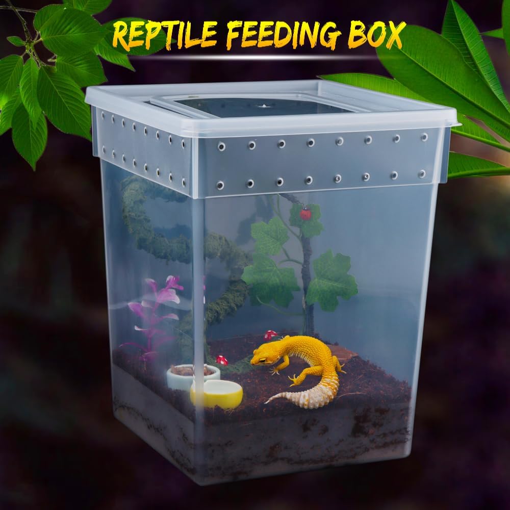 7 Pack Large Size Reptile Feeding Box Gecko Plastic Transparent Breeding Box for Snake Tree Frog Bearded Dragon Lizard Spider Praying Mantis (7.8" x 7.8" x 9.8")