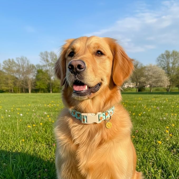 Dog Collar, Spring Summer Dog Collar - Image 7