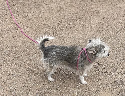 12-Foot Mini Pig Harness - Adjustable Harness & Leash for All Animals - Pigs, Ferrets, Rabbits, Guinea Pigs, Dogs, Cats, Reptile, and Chickens