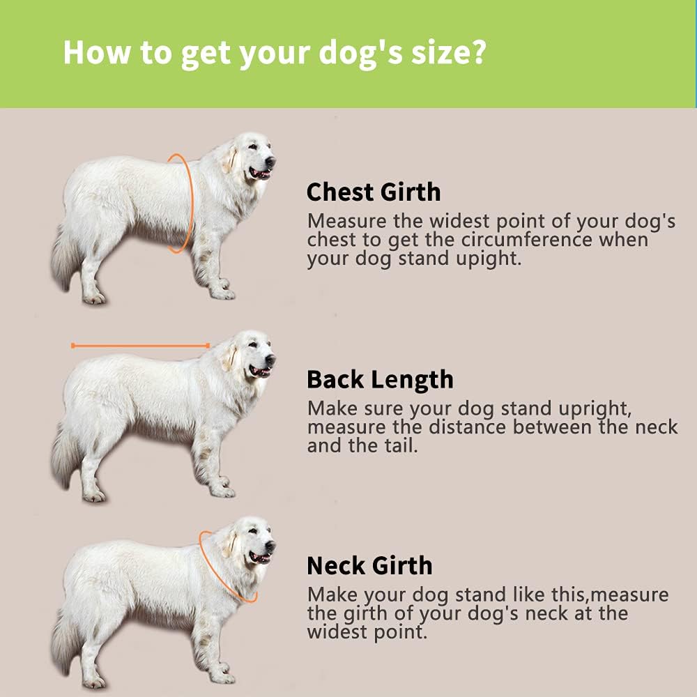 Snik-S Dog Life Jacket- Preserver with Adjustable Belt, Pet Swimming Shark Jacket for Short Nose Dog (Pug,Bulldog,Poodle,Bull Terrier,Labrador) (Green, X-Small)