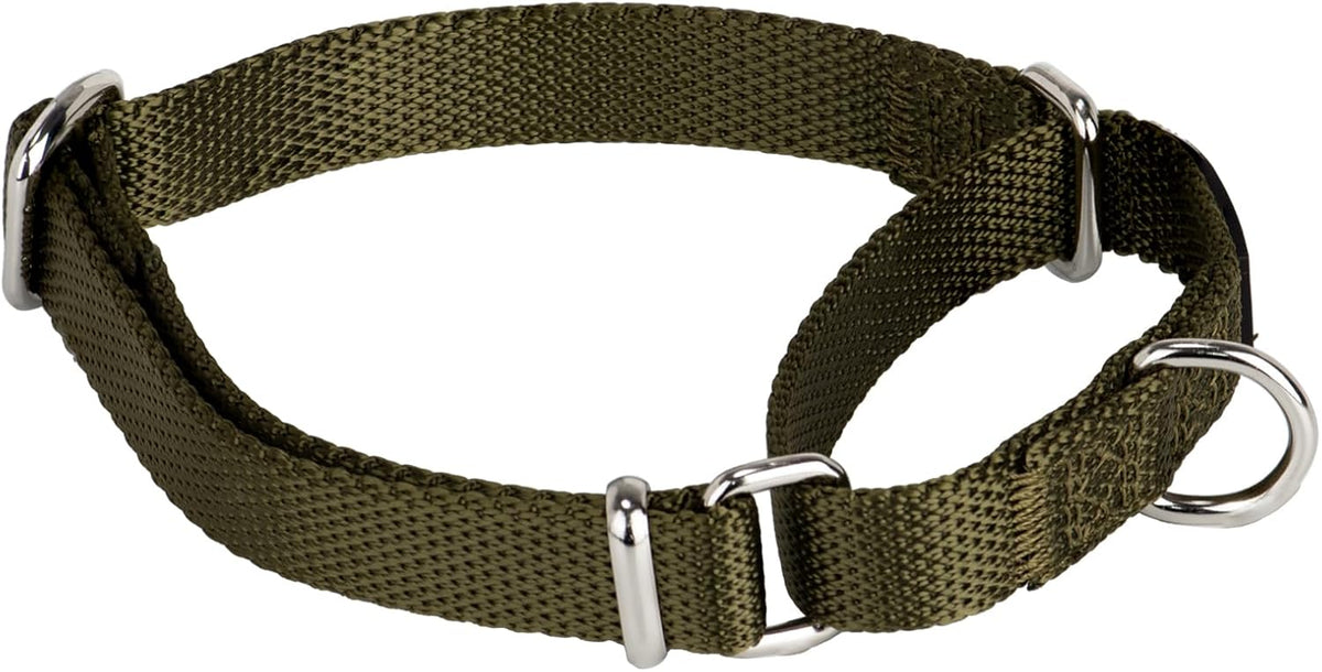 Hyhug Martingale Collar for Dogs, Large Green, Escape Proof