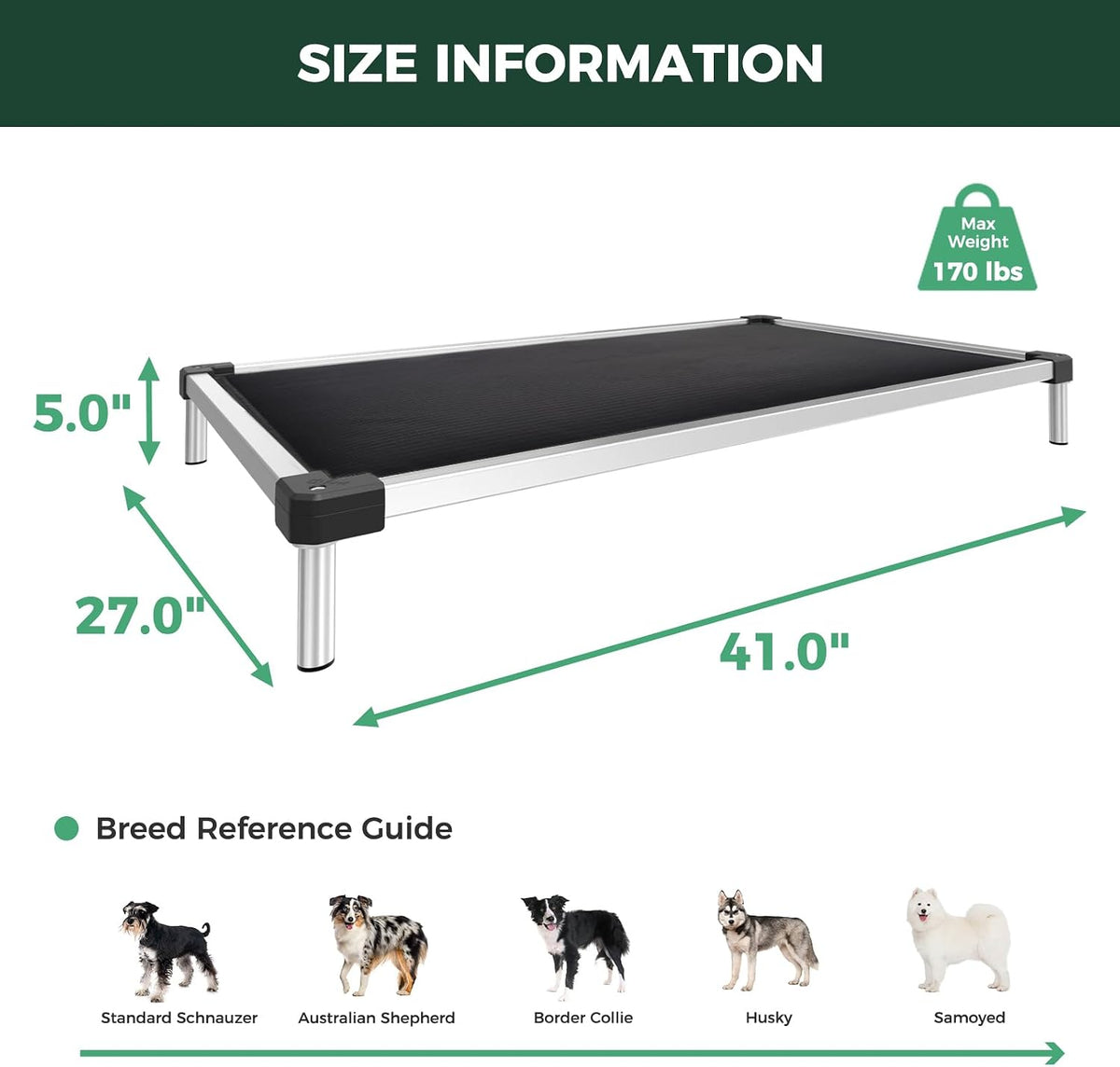 FXW TitanNest Padded Chew-Proof Elevated Dog Bed for Medium Dogs