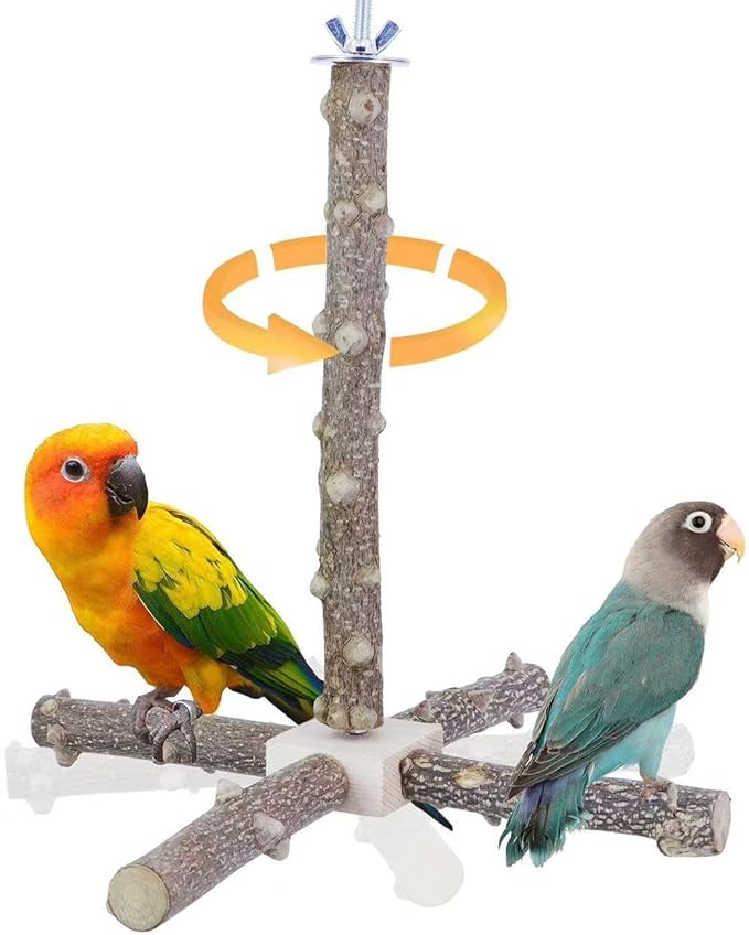 Bird Perch Stand Toy, Interactive Spinning Bird Toys, Wooden Parrot Perch by KINTOR