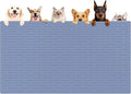 XXXXL Largest Pet Food Mat, 51.2"x25.6" Silicone Dog Mats by WelcometoULTIBE