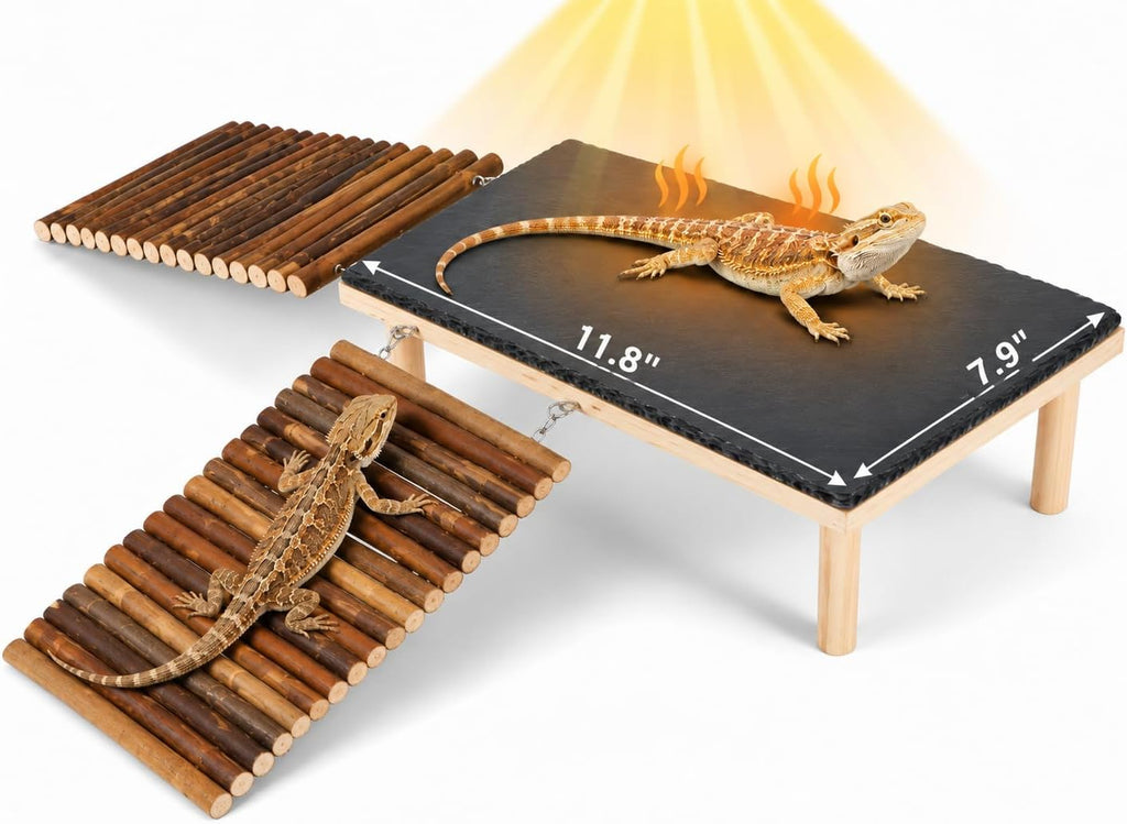 Bearded Dragon Basking Platform with 2 Wooden Climbing Ramp