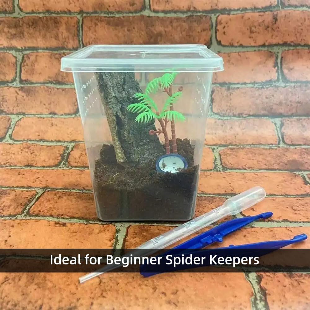 5 Pcs Spider Terrariums Breeding Box, Tall Insect Hatching Container Plastic Feeding Box for Arboreal Small Reptiles Jumping Spider Scorpion Centipede Insect