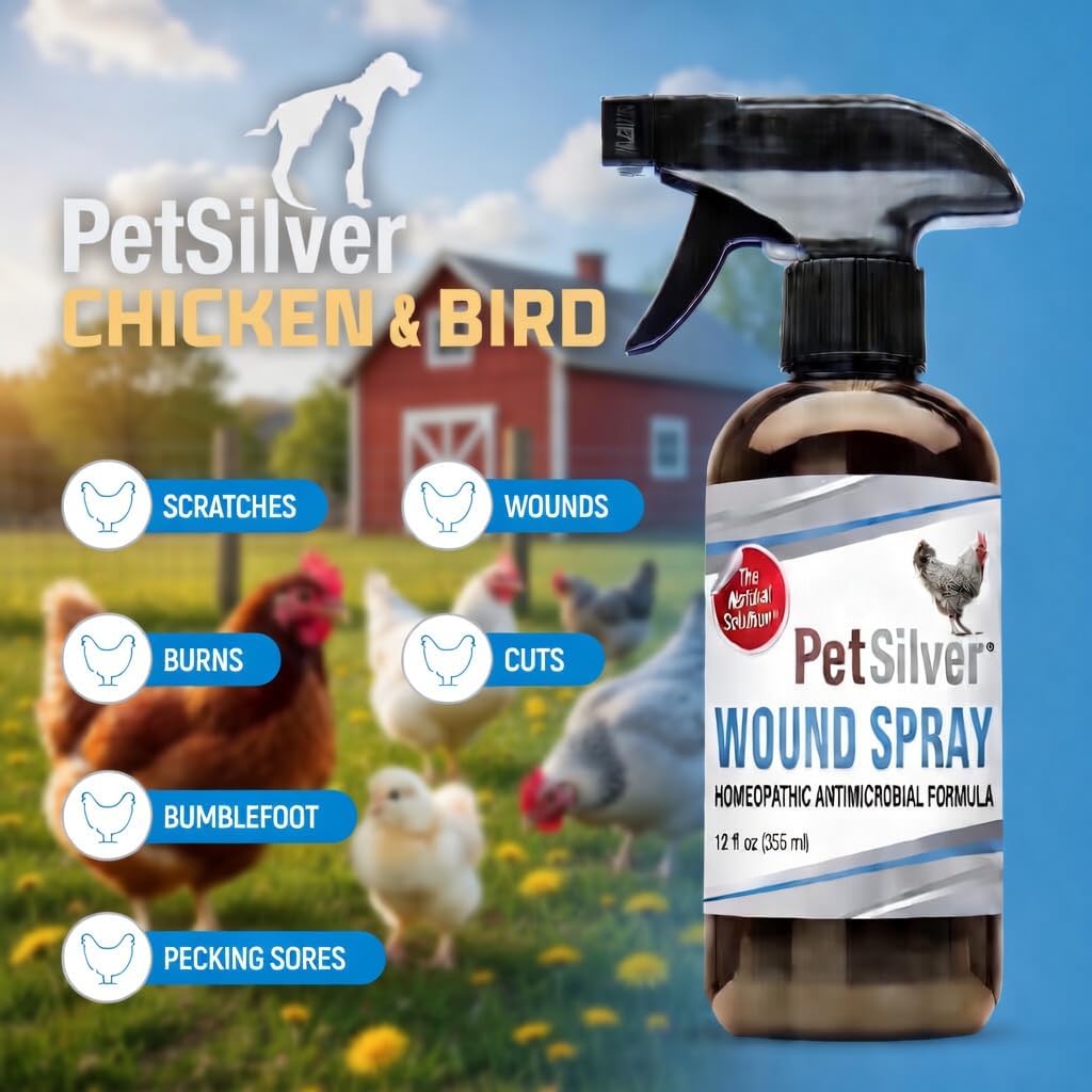 PetSilver Chicken Wound Spray, Silver Spray for Wounds, USA Made, 12 fl oz