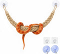 Ball Python Tank Accessories Snake Climbing Rope with Suction Cups & Hooks