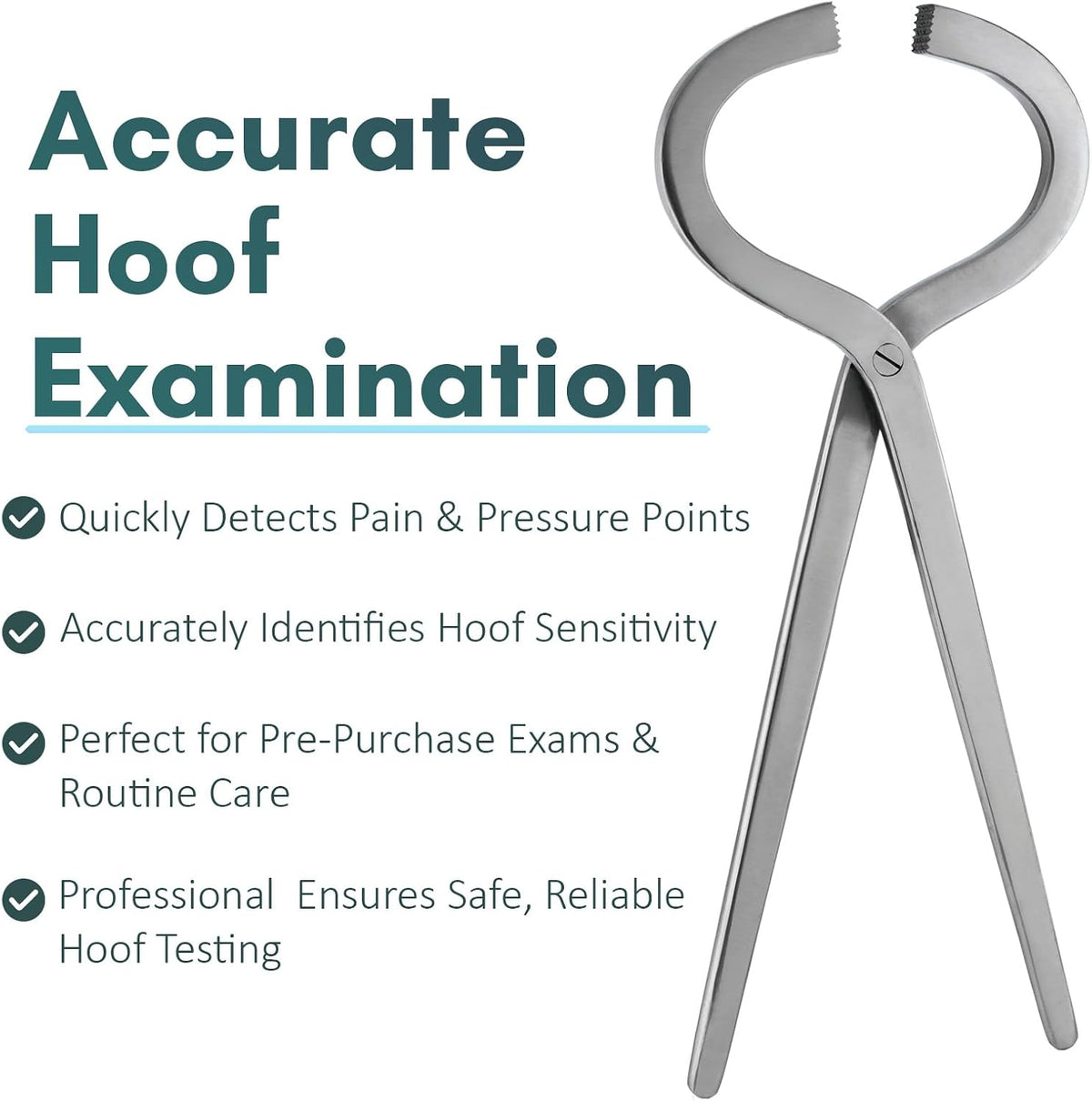 – Professional Hoof Tester 13” | Veterinary & Farrier Equine Hoof Care Tool | Stainless Steel, Corrosion-Resistant, Autoclavable, Durable for Horse Hoof Exams (Silver)