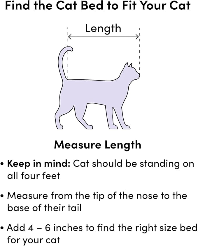 Small Cat Bed for Indoor Cats - Image 3