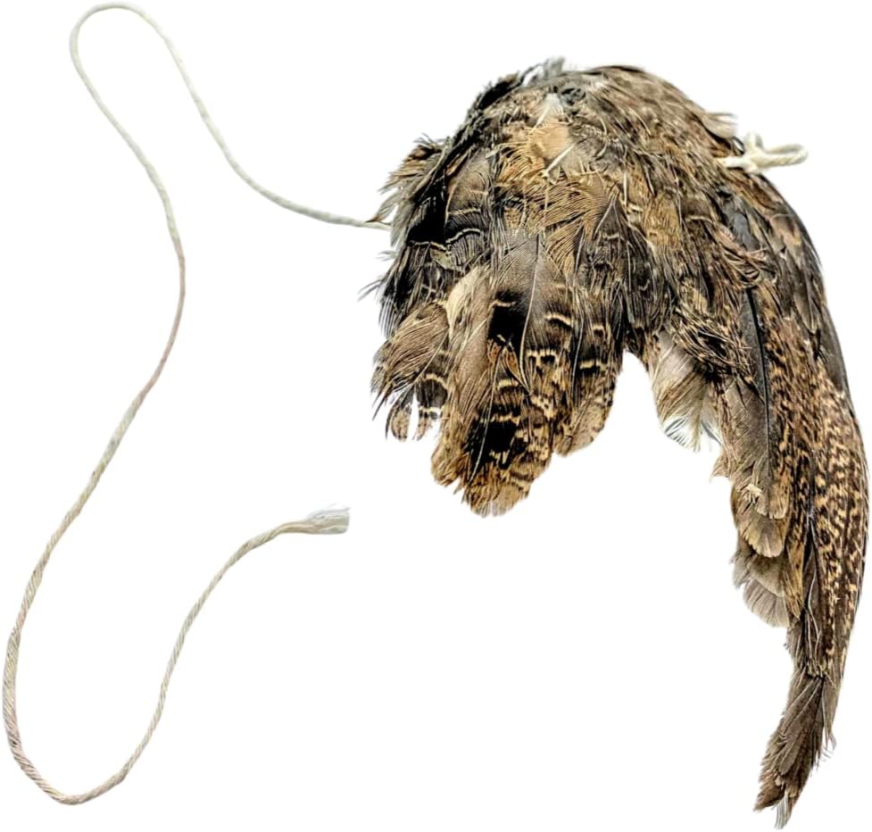 Unique Wing on String Cat Toy - Real Quail Wing Bird Scent Interactive Play for Cats, Dog Training Accessory