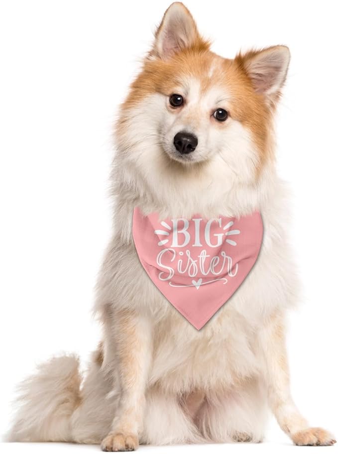 Big Sister Dog Bandana, Pet Triangle Scarf - Image 3