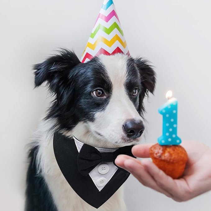 FUAMEY Dog Tuxedo, Adjustable Black Polycotton, Formal Attire - Image 3
