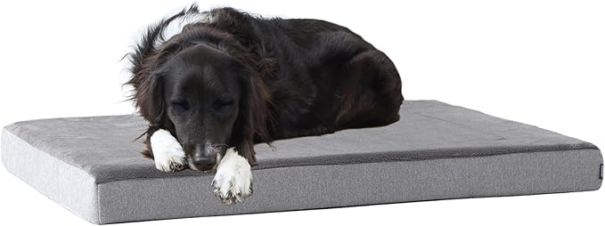 Barkbox Orthopedic Dog Bed by BARK