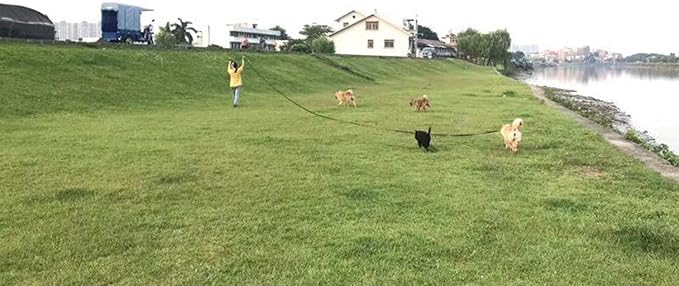 AMAGOOD Long Dog Leash for Training 15FT 20FT 30FT 50FT 100FT Long Dog Lead for - Image 8
