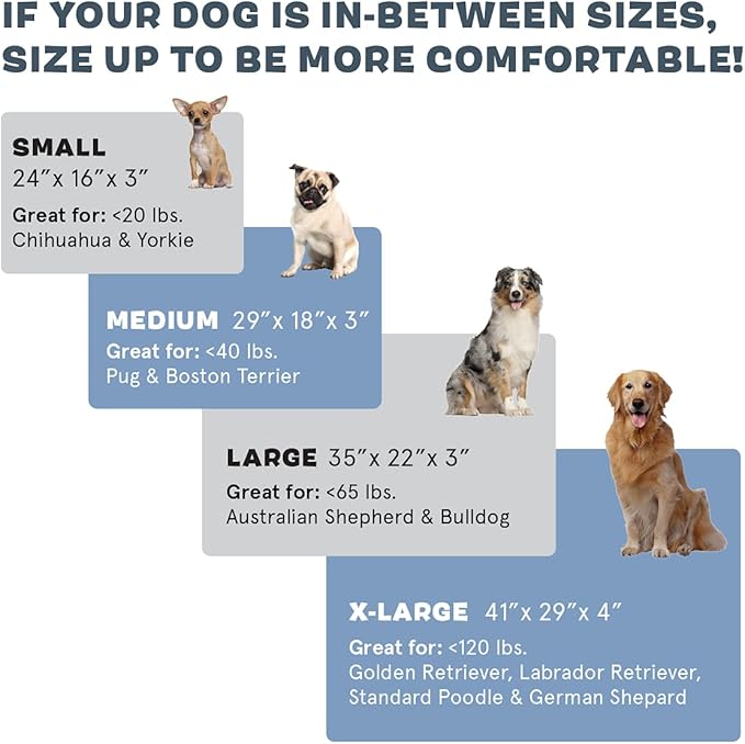 Barkbox Orthopedic Dog Bed | Comfortable Memory Foam Mattress - Image 4