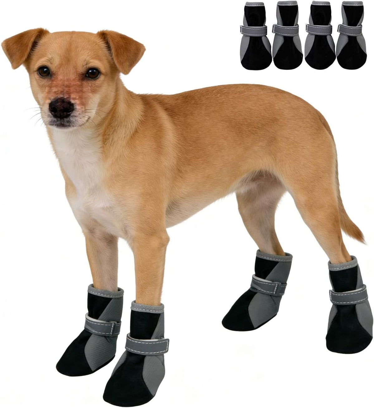 Waterproof Dog Shoes for Winter Rainy Snowy Day,Outdoor Pet Booties & Paw Protectors with Reflective Strip Anti-Slip Sole for Small Medium Dogs_#2(Brown)