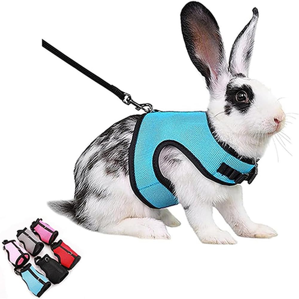 Rabbit Harness and Leash Set, Bunny Vest Leash Eescape Proof Mesh Walking Training for Small Animal Pets Rat Hamster Squirrel Ferret Guinea Pig Bunny,Pink M