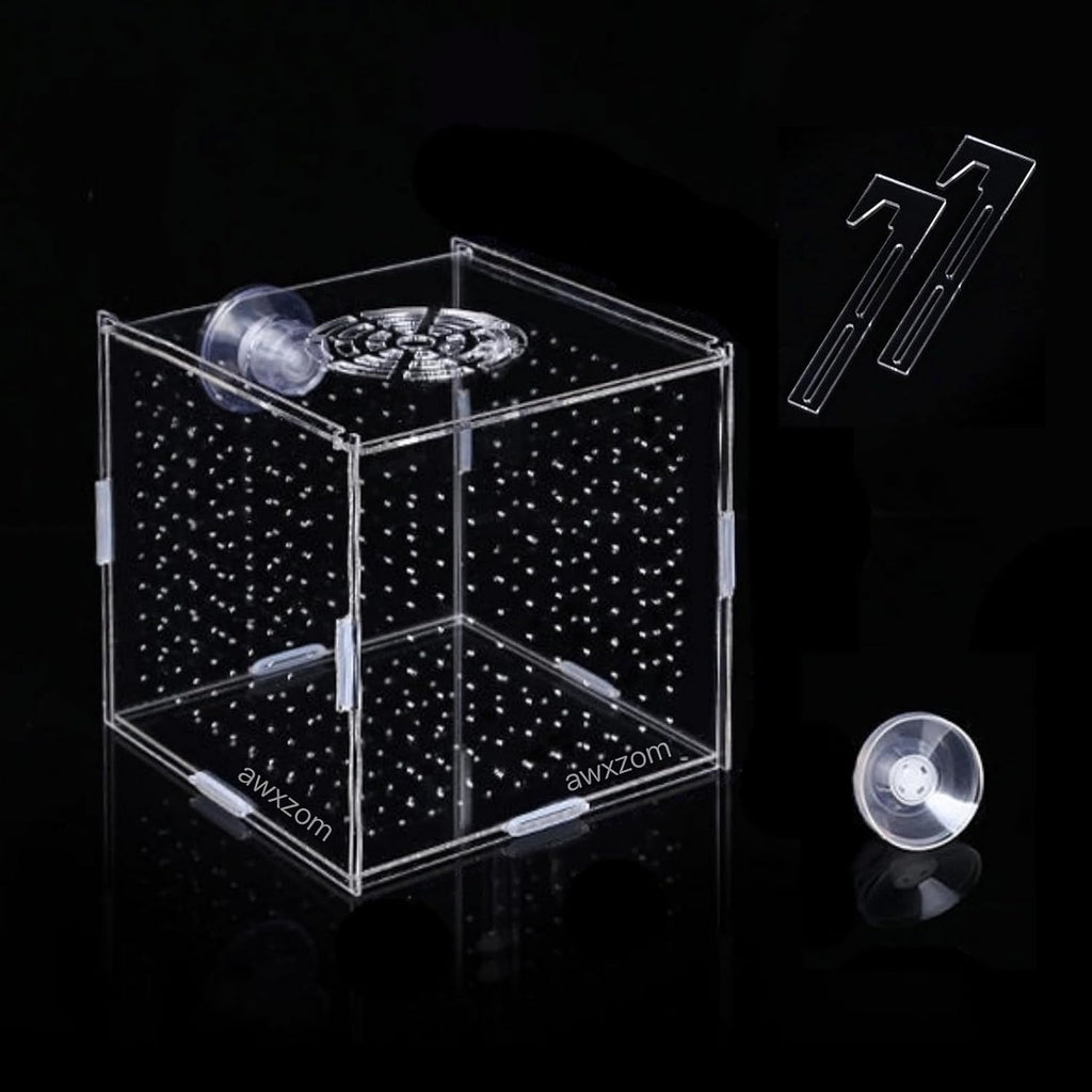 AWXZOM Acrylic Fish breeding Box, Acrylic Fish Isolation Box, Fish Separator for Aquarium, Hatchery Incubator with Suction Cups for Small Baby Fishes Shrimp Clownfish Guppy (5.9 * 5.9 * 5.9inch)