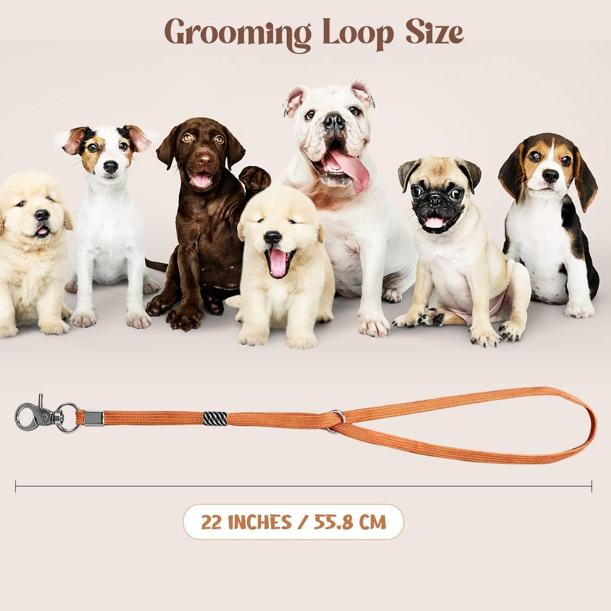 Pet Grooming Loop for Dogs - Nylon Restraint Noose Adjustable Slip Rope Dog Grooming Supplies for Dog Grooming Arm and Pet Grooming Table - 5 Pack