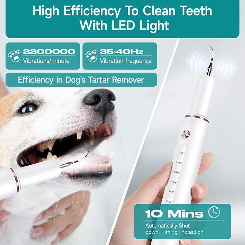 Palvo Dog Plaque Remover for Teeth,Pet Tooth Cleaner with LED Light,Cleaning Kit for Tartar and Stains,5 Adjustable Modes,Pet Teeth Cleaning kit,Suitable for Dogs and Cats