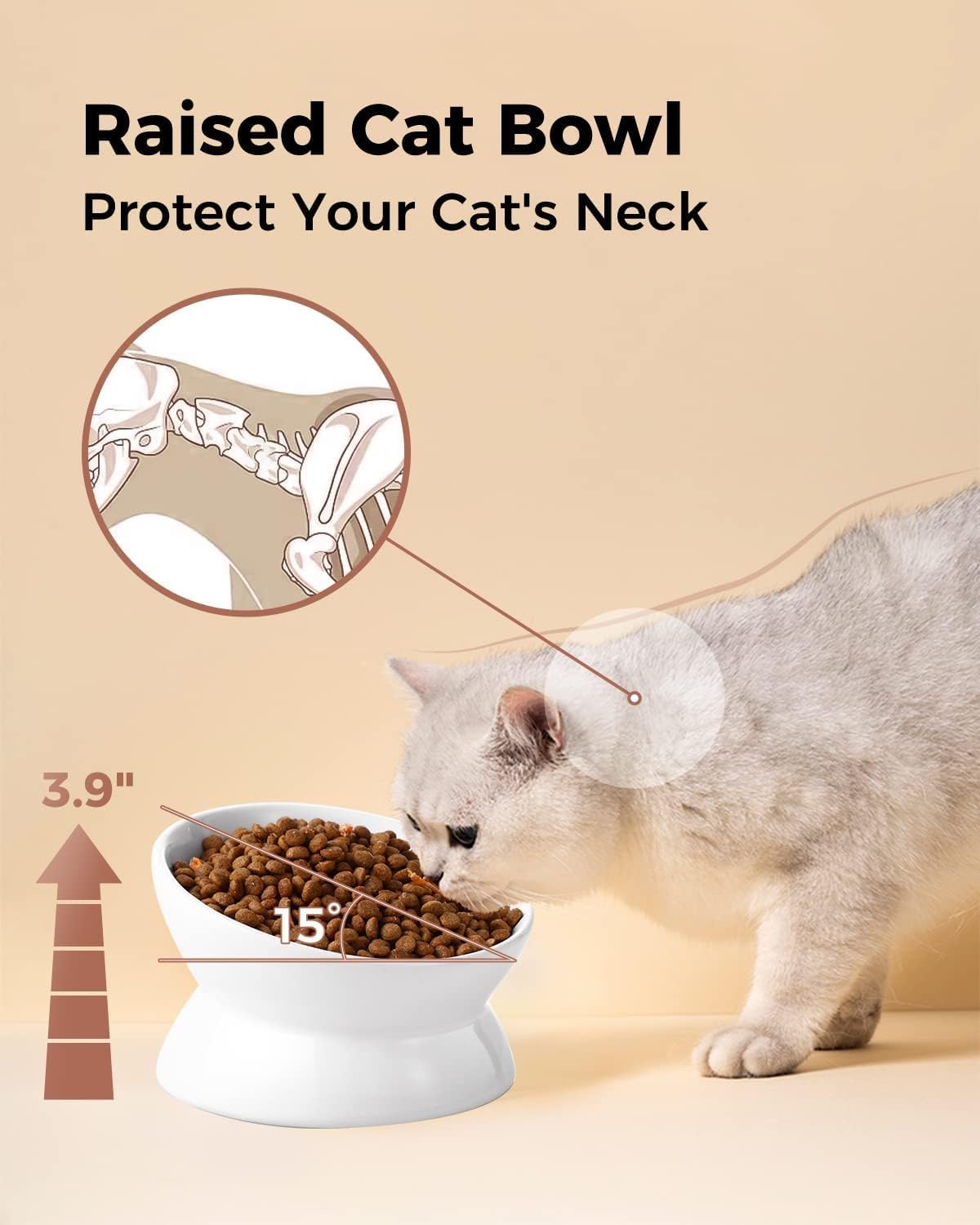 LoeJan Elevated Cat Food Bowl, 5 Oz Ceramic Raised and Tilted Water Bowl, Anti Vomiting and Protect Pets' Spines Dishes for Small Dog, Fat Faced Cat, Kitten (White, 2 Pack)