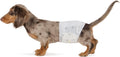 Amazon Basics Leak-Proof, Super Absorbent Male Dog Diapers with Wetness Indicator, Comfortable Design, Breathable Disposable Wrap, Secure Fit, Small, 30 Count