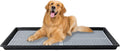 HQ4US Pee Pad Holder, Dog Potty Tray with Grate, Extra Large Litter Box