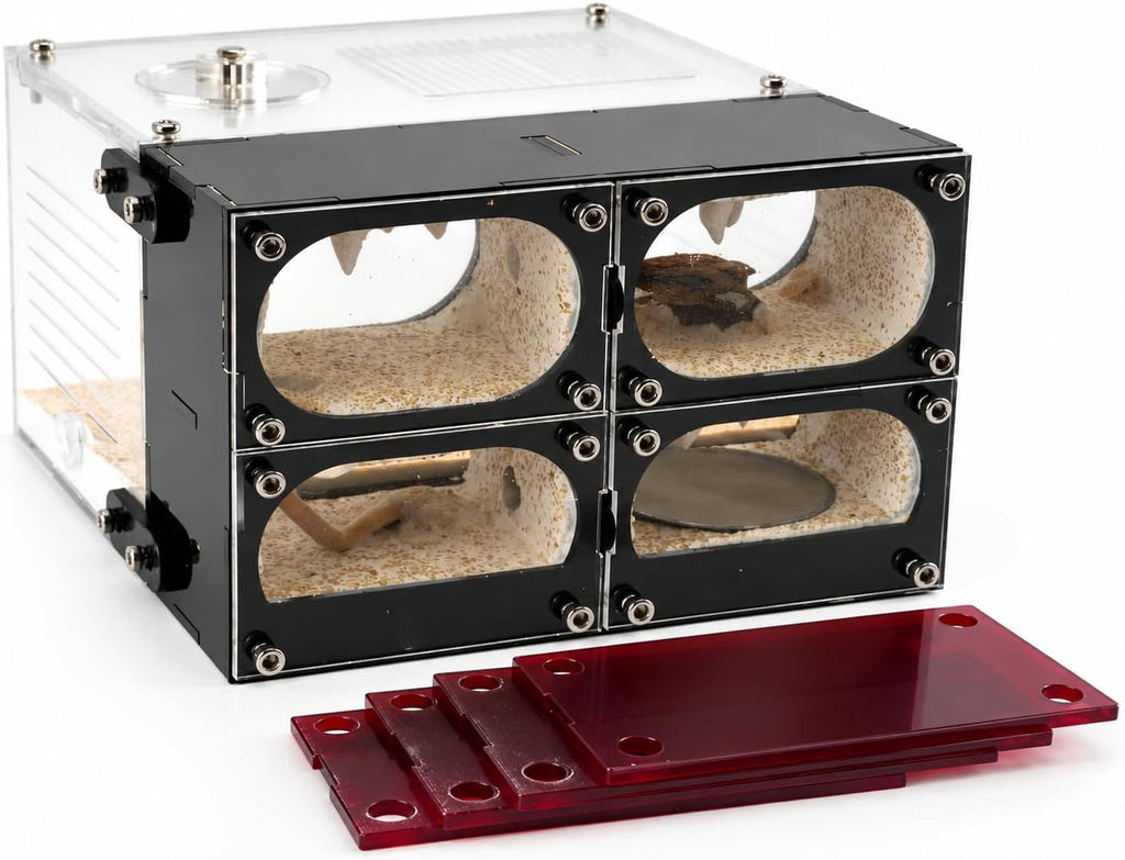 Acrylic Ant Farm Terrarium – Formicarium Ant Nest Habitat System, Observation Chambers for Live Ants & Queen – Educational for Adults