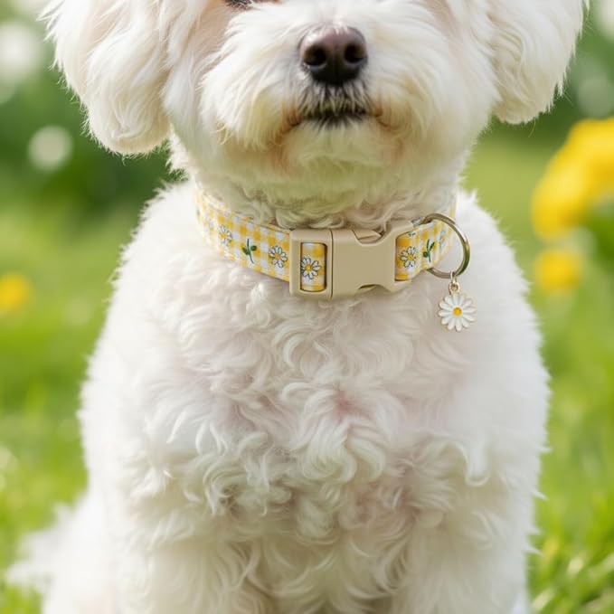 Cute Dog Collar, Spring Summer Design Floral Collar - Image 5