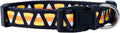Native Pup Halloween Dog Collar- Spooky Fall Themed Horror Costume Collars- by NativePup