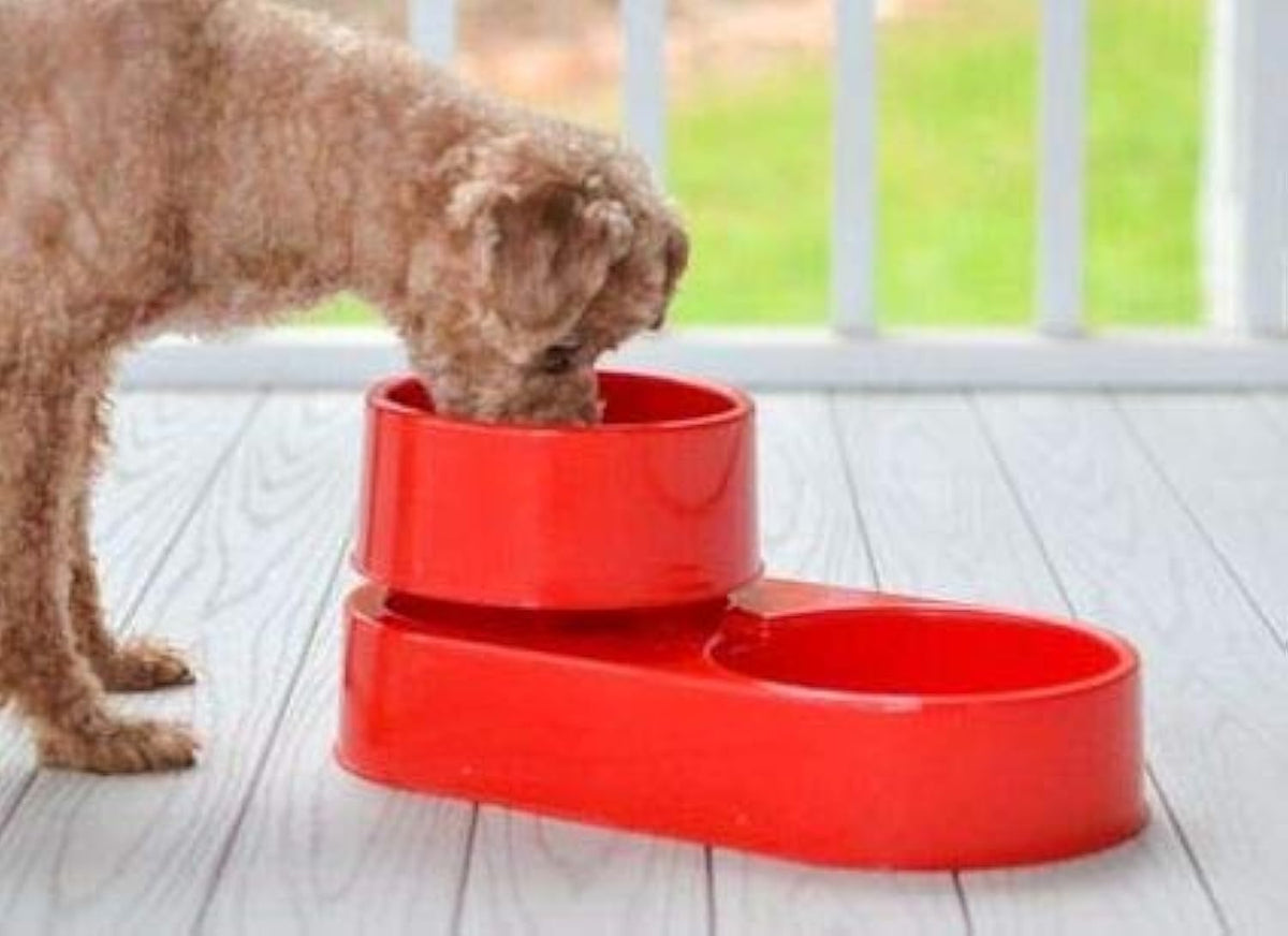 The 3-in-1 Ant Free Pet Dish (Small YG)