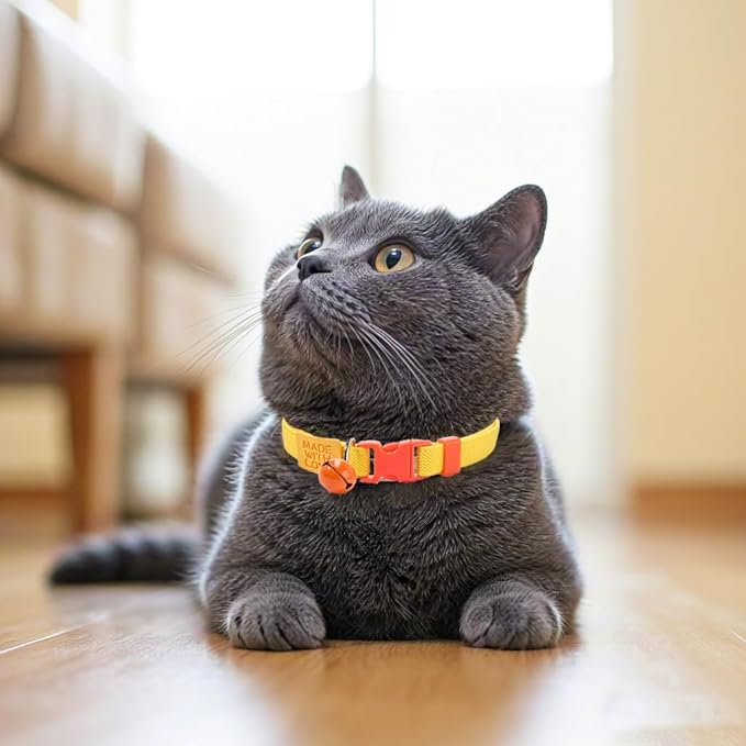 Elastic Cat Collar 2 Pack of Safety Quick Release Cat Collars - Image 4