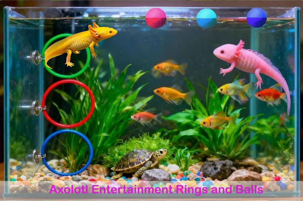 8 pcs Axolotl Hammock with Feeding Dish Floating Ball Axolotl Net for Aquarium Axolotl Enrichment Toys Reptile Triangle Hammocks Lounger Ladder Breathable Mesh Bearded Dragon Tank Accessories Green M