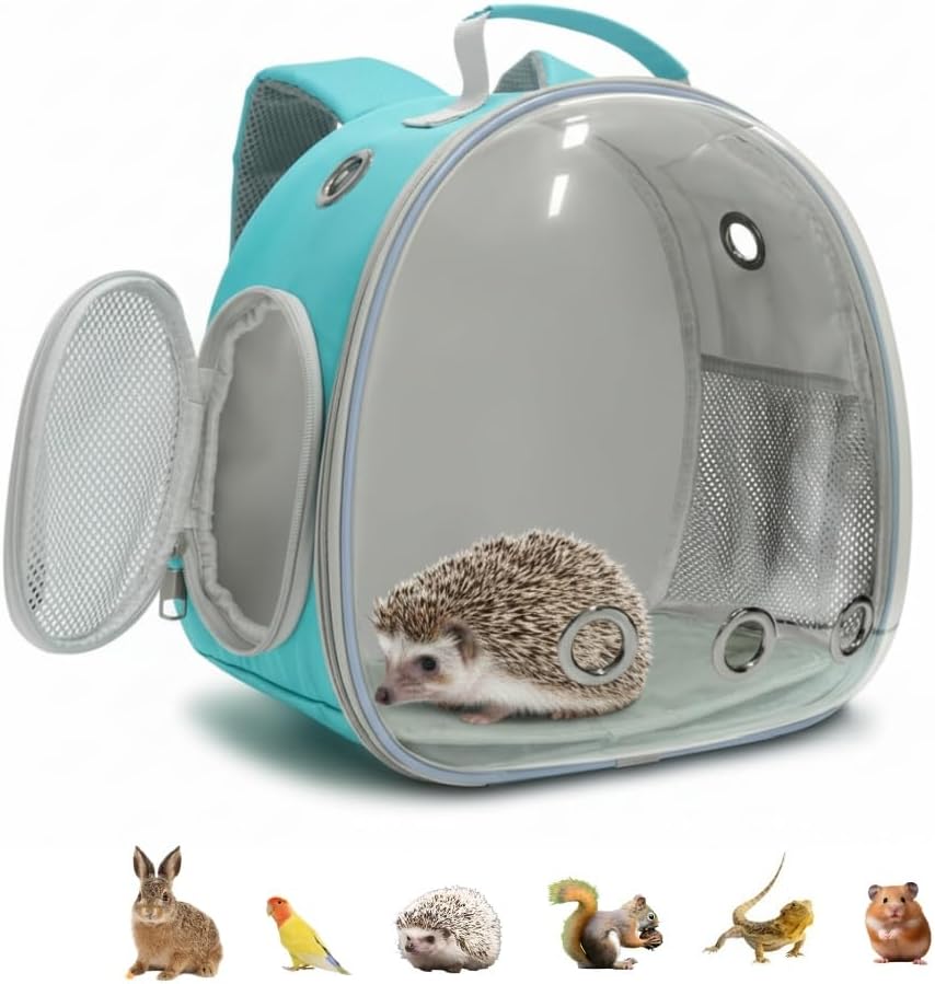 Small Animal Carrier Guinea Pig Backpack,Transparent, Breathable Backpack Carrier for Hedgehogs, Rabbits, Birds, Squirrels, Hamsters, Lizards Comfortable, Portable Travel Bag for Small Pets (Green)