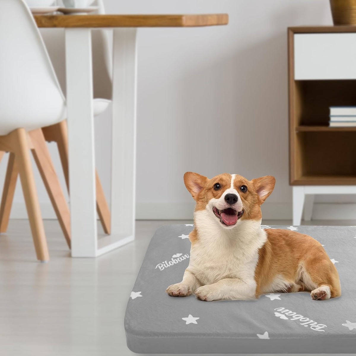 Waterproof Dog Bed for Large/Medium Dog, Memory Foam Dog Beds & Furniture