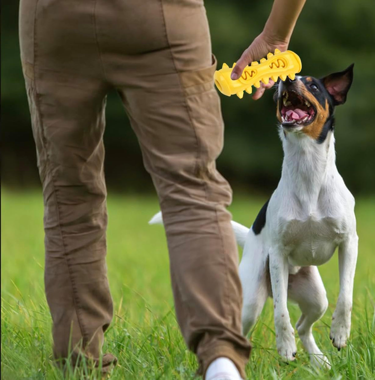Dog Toothbrush Chew Toy – Durable Dog Dental Toy for Teeth Cleaning, Food Grade Rubber, Interactive Dog Toy
